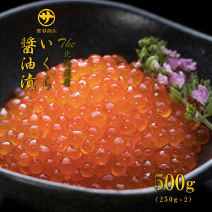 The kCY ݖ 500gi250g×2j TT JX V   CN ݖЂ Mtg v[g Ⓚ CN CN 瘥  O Y hV̓