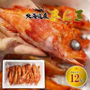  ʌ kCHY񂫁i߂߁j12  Ⓚ