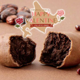 わかさいも本舗 わかさいも ショコラ 3個入 袋タイプ 個装 / しょこら 和菓子 洞爺湖 お菓子 北海道 おみやげ 挨拶 プチギフト まんじゅう 会社 子供 500円以内 ばらまき ギフト 個包装 お歳暮 ギフト 贈答 父の日 母の日 プレゼント