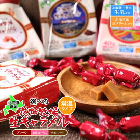 花畑牧場 生キャラメル ドライ ・ 袋タイプ 選べる! フレーバー 各40g（標準10粒入）（プレーン 北海道いちご チョコレート の中から1つ）お手軽 常温 北海道産 スイーツ 手造り ばらまき とろける 贈り物 手土産 ギフト 500円 以内 父の日 母の日 プレゼント
