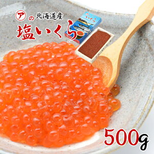 }A X  500g ؔ  CN kCYW Hs ӂ邳Ƃ̖ CN CY Mtg  T[  hV̓ ̓ ̓ 蕨 Ε   