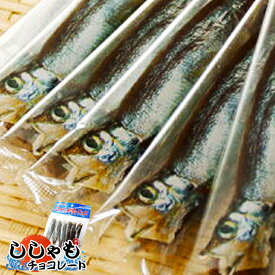 楽天市場 魚 チョコの通販