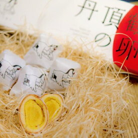長谷製菓 丹頂鶴の卵 10個入北海道 チョコまんじゅう釧路銘菓 ギフト北海道土産 和菓子