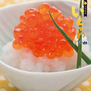 TT I kC  1kgyz / JX k̍K CN  CY CN V  Mtg bZ[WJ[h 蕨 Ε   l O NN