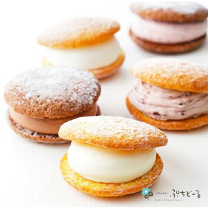 XC[c  Ղǁ[ ՂՂ܂ 5yz / kC~NE`[YEZVREnXJbvx[EqzCbv / Mtg mَq N[ ӂӂ ubZ 