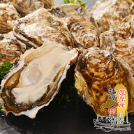 送料無料 北海道厚岸産 殻付き 生牡蠣 20個 2Lサイズ（130gから150g） 産地直送 同梱不可商品 【冷】 カ…