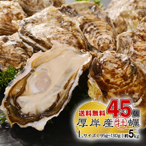 ̍肪W[V[ɍLIkCݎY kt y 45 {[I LTCYi95g130gjYn si yzJL CY CX`[ o[xL