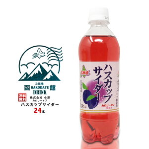 Џ kC nXJbv TC_[ J[It 500ml×24{  ً͔ߍx Êx VR gp ͖kCYႪƓ[ n Y_ hN  kCy