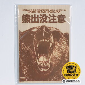 NORTH ISLAND Fov1999 1 nKL Fov99kCyY̑㖼ILuh Cws lC  G