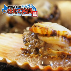 kCY قĕЊL 1[8] Θp Ԃ蕬Θp kC SmF ؐVNȂقĊLIA₷lɕЊJɂ܂BAEghA[̂ɍœKłk