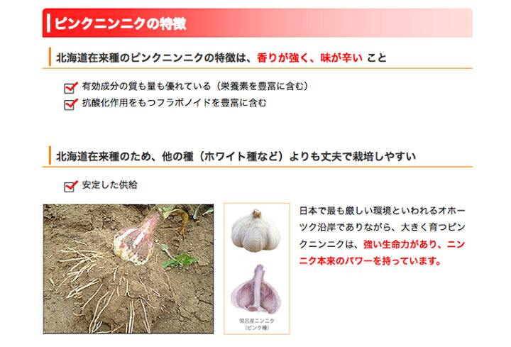 楽天市場 高級 エキストラバージンオリーブオイル にんにくオリーブオイル 185g 2個 送料無料 香味食用油 本場スペイン産 北海道ところ町産 幻の在来種 ピンクにんにく 使用 食品添加物無添加 ガーリックオイル オイル漬 ギフト 瓶 ボトル ニンニク 調味料 北海道く