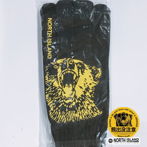 NORTH ISLAND Fov0243 1 FovR荕kCyY̑㖼ILuh Cws lC  G