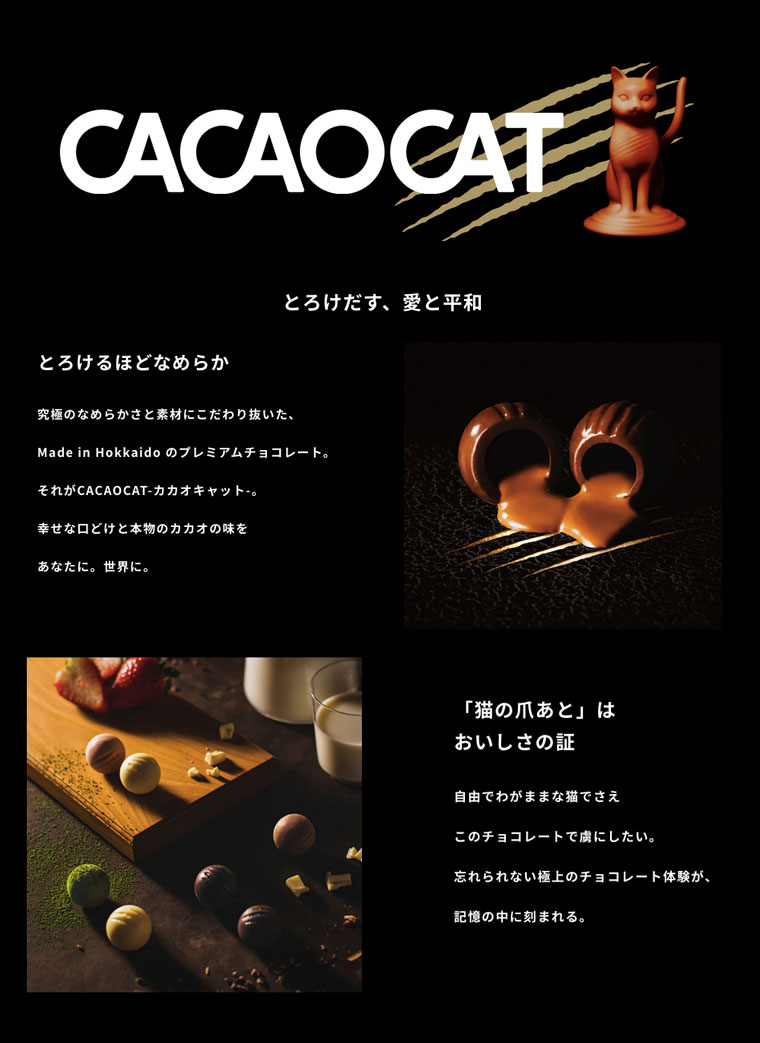 楽天市場】CACAOCAT Bake ベイク ミックス 詰め合わせ 6個入 焼き菓子