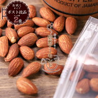 焙煎士 舟木勇策 舟木コーヒー 焙煎アーモンド 100g×2袋セット 堅さ控えめ お試しメール便 送料無料 素…