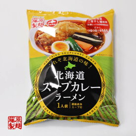 藤原製麺 北海道スープカレーラーメン 10袋セット（濃縮液体スープ付）送料無料 北海道二夜干し麺使用（生麺をじっくり2日乾燥製法）だから、つるつるでもちもち! ギフト お土産 インスタント 袋麺