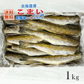 北海道産 こまい 生干し 1kg 送料無料 葛西水産 業務用 お土産 氷下魚 ギフト コマイ 氷下魚 釧路 焼き魚 ギフト 海鮮 干もの 干物