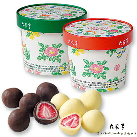 六花亭 ストロベリーチョコセット（ミルク・ホワイト） / 北海道お土産 お返し 友人 お取り寄せ 贈り物 かわいい いちご ドライフルーツ チョコレート 父の日
