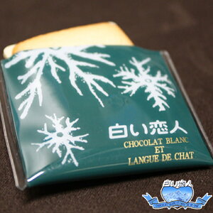 l }Olbg NbL[^Cv G t@V[ 1kCyY [֑Ή\ Ή ishiya Dy kC IC