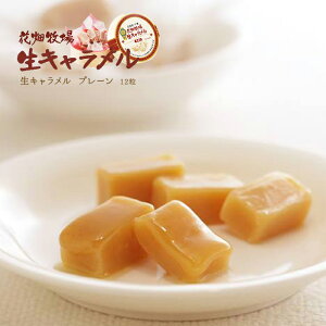 kC yY Ԕq 7NAhZNV܎ L 12 Ԃ  蕨 Mtg Ƃ낯 ̓ ̓ v[g q lC Mtg NX}X