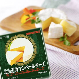 よつ葉 北海道 カマンベール チーズ 100g北海道お土産 乳製品