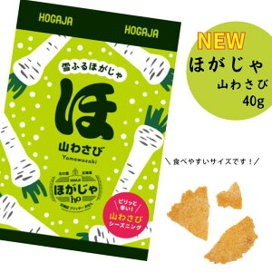 yȃZbgEzkCtb^[ ق R킳 40gyyY Mtg ΂܂  lC V[Y z[XfBbVz