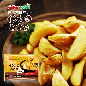 Jr[|eg kCY n|eg CĴ߂߁iⓀtCh|egj 250g×12 yz / z[p[eB[ɍœKIgĊyI