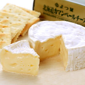 よつ葉　北海道　カマンベールチーズ　100g