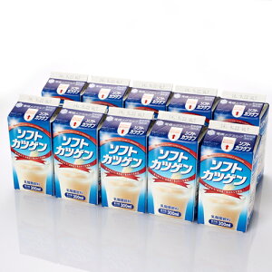 y󃁃O~Nz\tgJcQ 300ml×10{ykC nhN _ۈ kC JcQ  Mtg Ƒp ܂Ƃߔ ChN n kC _ہz