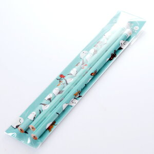 kCݏZ V}GiK̂҂ 3{ dx BV}GiK ObY nM kC n[