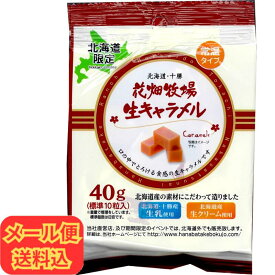 【お得なメール便】北海道限定 花畑牧場 生キャラメル 小袋 10粒入り【お土産 お手軽 プチギフト ばらまき 有名 喜ばれる贈り物 おやつ お茶菓子 キャラメル 定番 バレンタイン ホワイトデー】