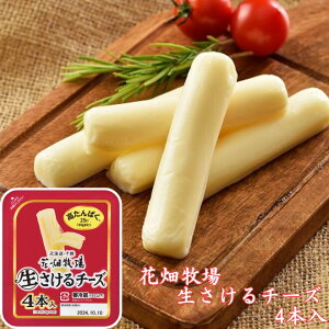 yԔqz `[Y 4{ v[yς ԐH _CGbg veC ܂ ܂ ̍ kC yY zy①z