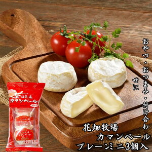 yԔqzJ}x[ v[ ~j 3  N[yς ԐH _CGbg veC ܂ ܂ ̍ kC yY  500~ȉzy①z