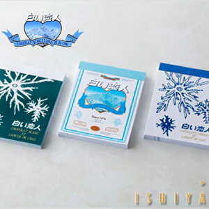yΉفz@l  3ZbgyV@w@iw@z A Mtg ei z 䈥A yY v`Mtg ސE  ii@v[g kC@pi@z