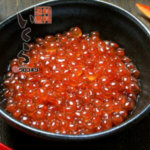 y݁zyER{VzER{V CN ݖЂ 500gi250g×2j /  / Ɩp iⓀjy䒆@Ε@j@䈥A yY v[g kC HCN@N@M