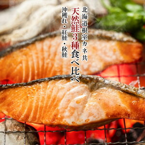 VR3Hה nEgEH ؂g 3܁ie15؁j kCJlyz /  CY lߍ킹 gLVY Ƃ炸 TP Ⴏ VP g   