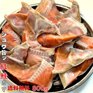 yz̏ gJ} 艖 800gyт̂  g J} H `[n ɂ ȒP O BBQ Ε  A ~ ̓ ̓z