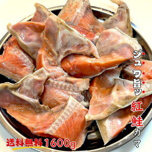 yz̏ gJ} 艖 Ղ1600gyт̂  g J} H `[n ɂ ȒP O BBQ Ε  A ~ ̓ ̓z