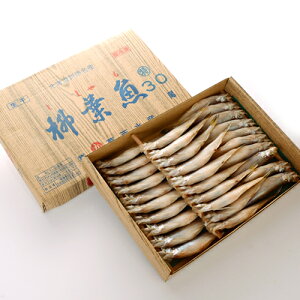 yzkC HY Y tiXj VV 30Zbgy{ꂵ q XȂł͂̐H kCY  CN ܂ Mtg 񂹁z