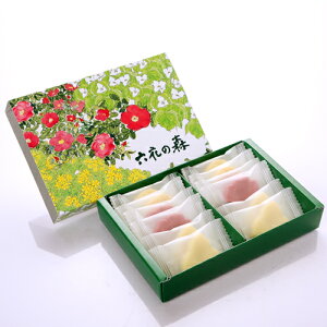 yȊ݂zyZԒzZԂ̐X@-̂-Ԃ̌`킢`R[gyzCgf[ Ԃ v[g ݂₰ A yY v`Mtg ސE  