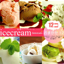【黒沢牧場】手作りアイスクリーム12個セット