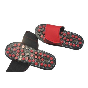 y_tf[P2{zc{h T_ N ɋCǂ NXbp ͎h }WbNe[vyyz ̓ ̓ v[g  NT_ fB[X Y 