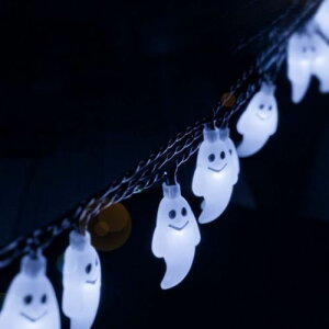 z  XgOCg C~l[V p[eB[ nEB NX}X 蕨 h LED \[[[d O ̓ ̓ v[g