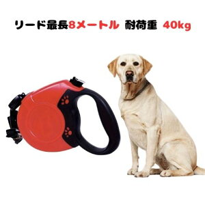 yyVC[OXӍP2{z Lk[h 8M ׏d40kg [h n[lX莮hbO[h p[h  E^Ή