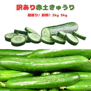 �y25������P2�{�z�y�\���t���z �󂠂� ���イ�� 2kg 5kg �V�N��� �L���E�� �R�����Y �t�[�h���X ��� �ԓy���イ�� �ӉZ �s������� ���̂� �Y�� �V�N �󂠂��؃Z�b�g �Y�n���� �J���J�� 