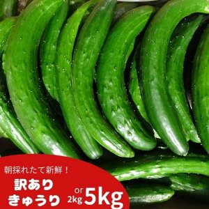 �y���������}���\��P5�{�z�y�������z �󂠂� ���イ�� 2kg 5kg �V�N��� �L���E�� �R�����Y �t�[�h���X ��� �ԓy���イ�� �ӉZ �s������� ���̂� �Y�� �V�N �󂠂��؃Z�b�g �Y�n���� �J��
