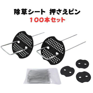 y30P2{zUsY ەt 100{Zbg _ }` 20cm hV[g Œs V[g s lHŁyyz ̓ ̓ v[gyp