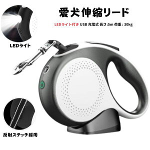 yڋqӃf[P2{zLEDCgt Lk[h USB [d 郊[h ݎ[h 肪X[Y iCe[v ꎞ~ EE^Ή ׏d30kg 5m 