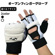 オープンフィンガー グローブ 左右 両手セット フット 保護 ガード テコンドー 教室 キックボクシング オ…