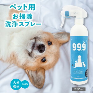 gCp gC|   @ LLbL ybgp~lEۃXv[ 350ml ybgpi gC Q[W ybg܂    L ঒   PA 