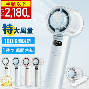 _Ԍ蔼zȉ2,180~^2025ǐi nfBt@pv[g 100iK @ 啗 @ nfB@ 莝@ ~j@ [dR[hX @ usb 